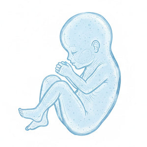Healthy Birth Weight