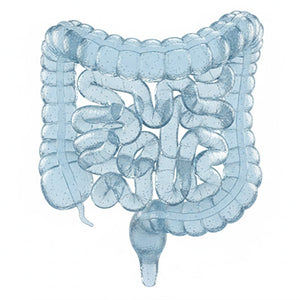 Constipation Comfort Aid