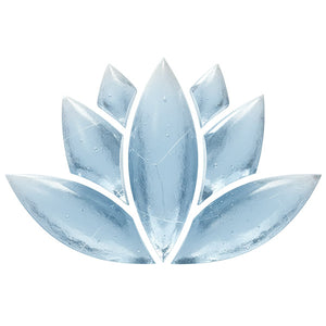 General Wellness